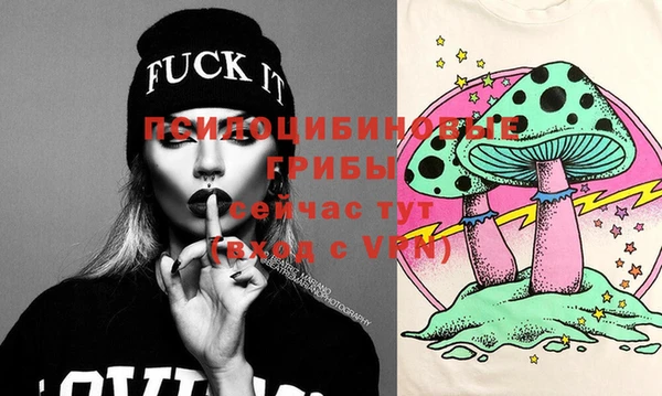 стаф Липки
