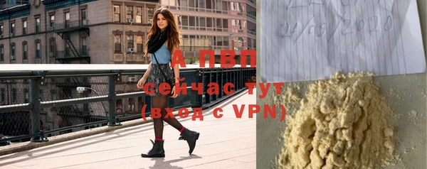 стаф Липки