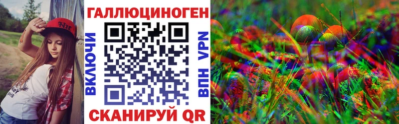 Купить  Заволжск  Псилоцибиновые грибы Psilocybe 